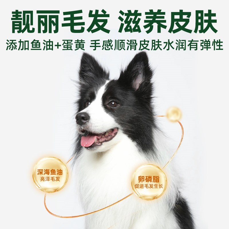 边牧专用狗粮40斤装成犬幼犬中大型犬边境牧羊犬全价20斤