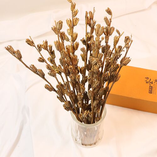 干芝麻杆芝麻开花节节高乔迁新居干花装饰插花瓶摆件天然真芝麻秸