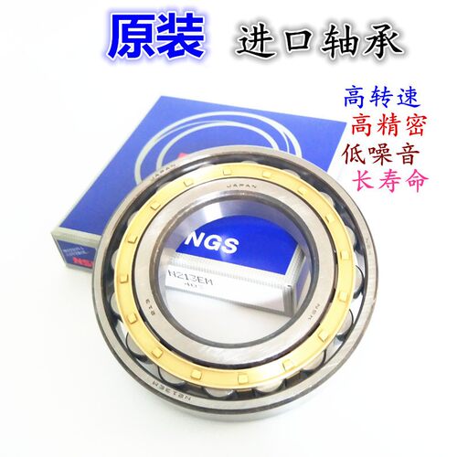 精密VTYG轴承NUP N NU NJ RN 304 305 306 307 308 309 310 EW EM