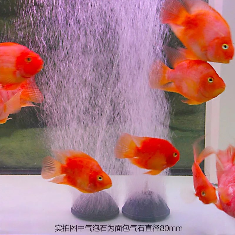 森森交直流增氧泵停电用打氧泵停电自启至臻充氧泵钓鱼增氧机402