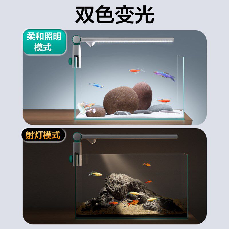 小型鱼缸专用灯LED照明观赏灯南美射灯爆藻水草灯2024新款造景灯