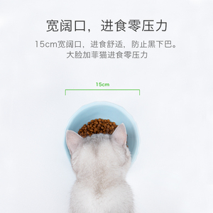 典赞陶瓷猫碗猫粮碗保护颈椎防打翻斜口高脚猫食盆狗盆宠物用品