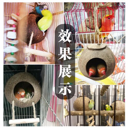 鸟窝 椰子壳鸟窝 鸟巢 繁殖窝 繁殖箱 虎皮鸟窝 牡丹鸟窝鸟类用品