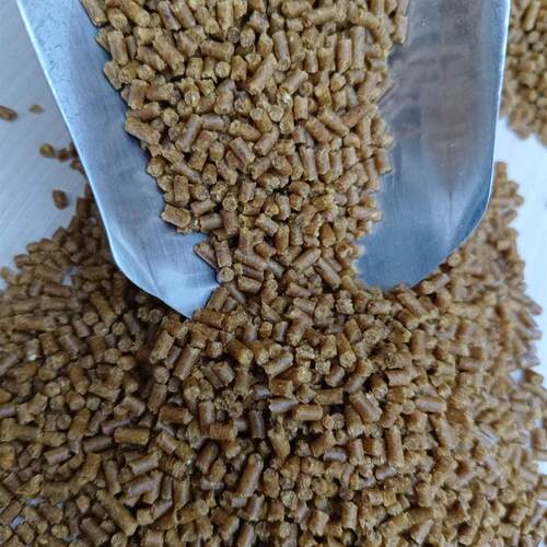 鹩哥专用食香港百强鸟食料八哥鸟粮专用高蛋白小鸟饲料颗粒