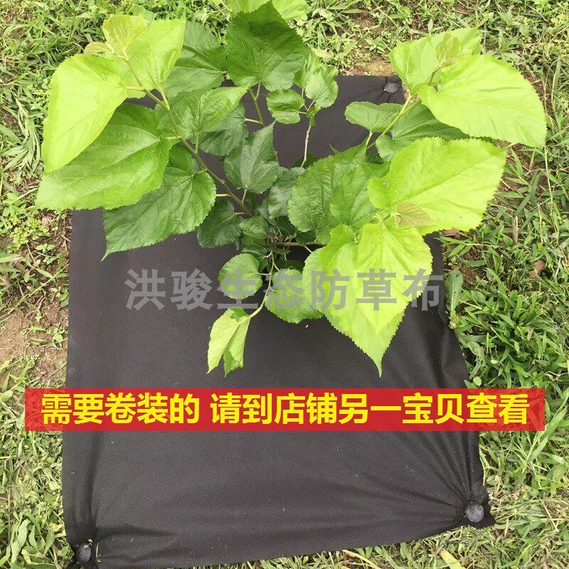 裁片新型生态防草布除草布果园果树保肥保湿渗水无纺地布农用薄膜