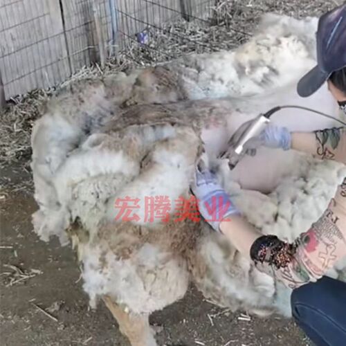狼霸大功率羊毛电推剪绒山羊长毛兔绵羊剪毛器宠物狗狗电动剃毛器