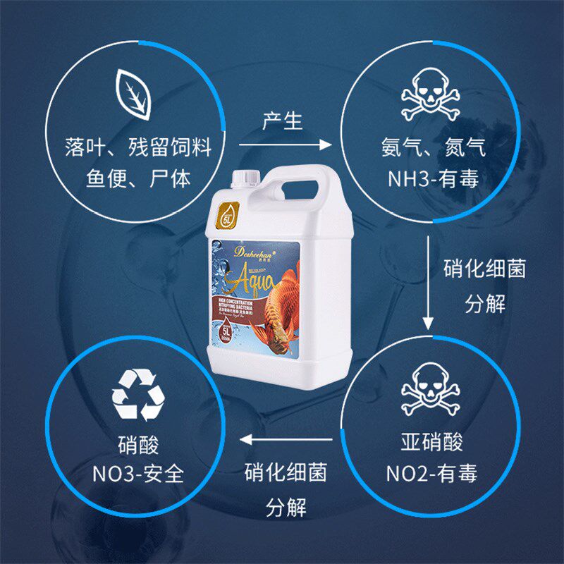 硝化细菌观赏鱼鱼缸龙鱼专用硝化活菌EM原液净水除臭除藻消化活菌