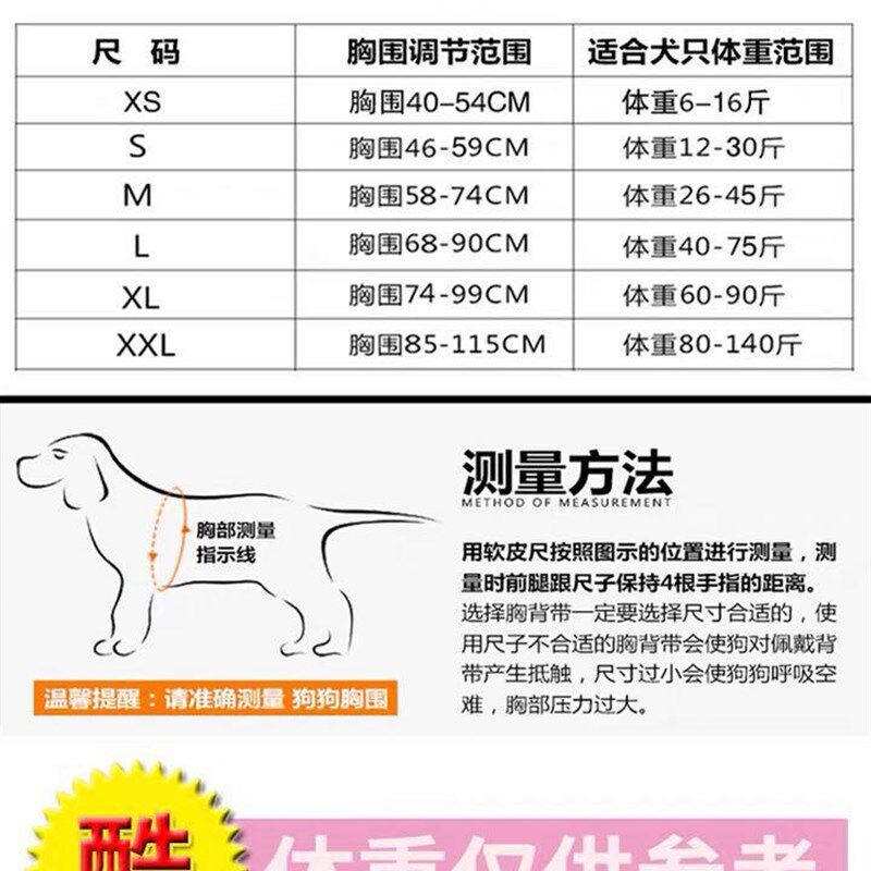 狗狗牵引绳中大型犬胸背带金毛狗链哈士奇萨摩耶外出狗牌定制刻字