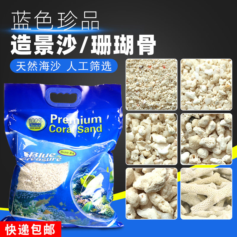 蓝色珍品海缸造景珊瑚沙海沙菲律宾沙子天然鱼缸底砂海砂珊瑚骨石 - 实物图