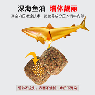 招财鱼饲料地图鱼专用鱼食战船鱼发财鱼热带观赏鱼增色增艳鱼粮