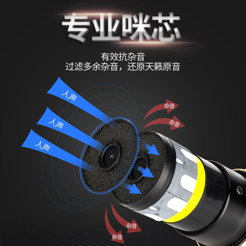 Sansui/山水家用无线话筒麦克风U段调频Ktv专用K歌卡拉OK充电会议