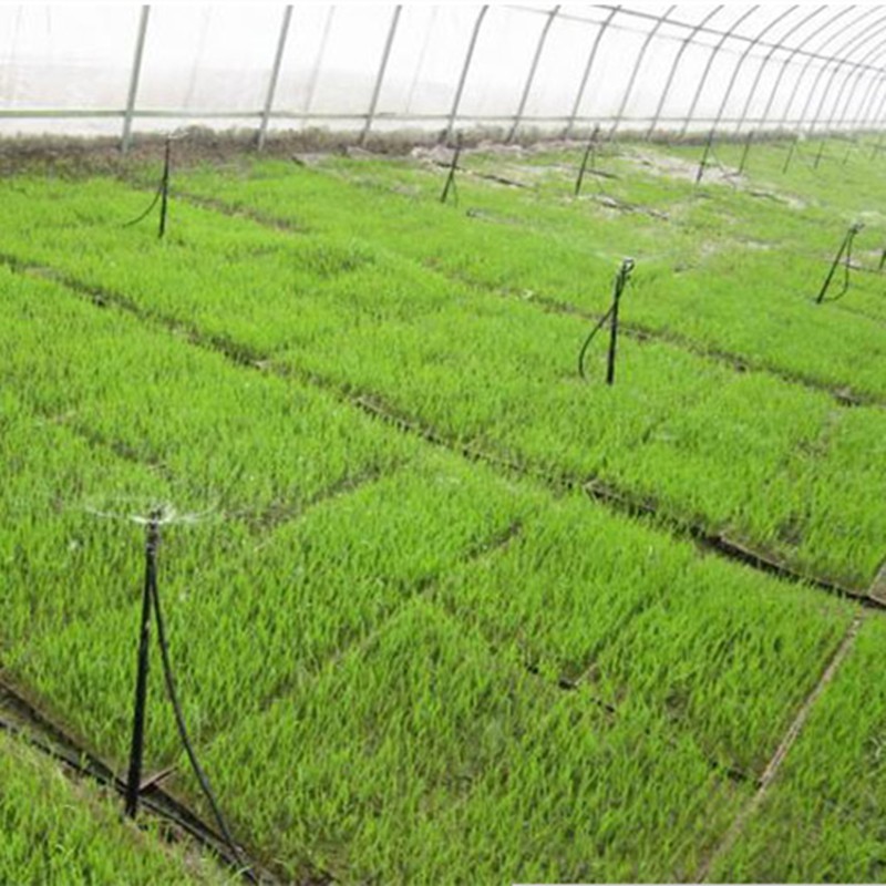 自动浇花器家庭花园天台菜地绿化带大棚定时浇水雾化洒水微喷滴灌