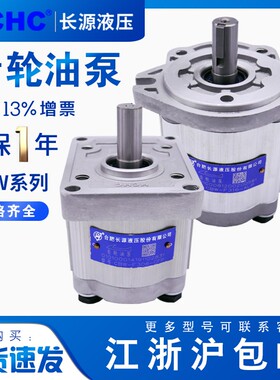 HCHC合肥长源齿轮泵CBW-F304/F306/F310/F316总成小型液压油泵