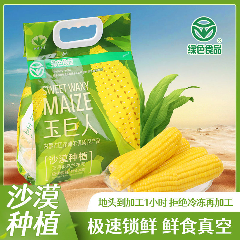 玉巨人沙漠玉米内蒙古真空新鲜玉米棒真空包装即食早餐粗粮1.85kg