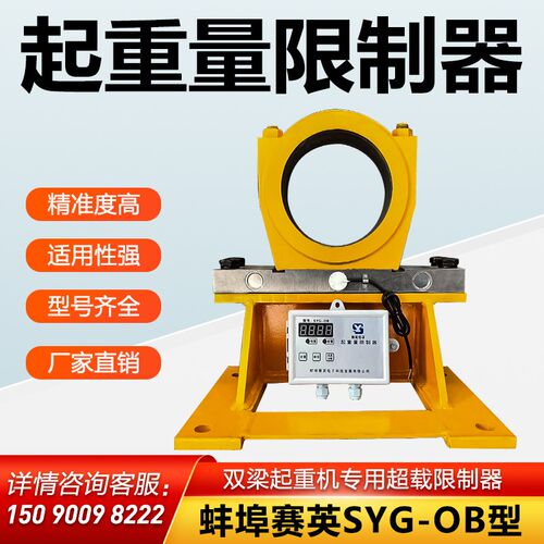 起重量限制器蚌埠赛英SYG-OB型起重机行车双梁超载限重保护器10T