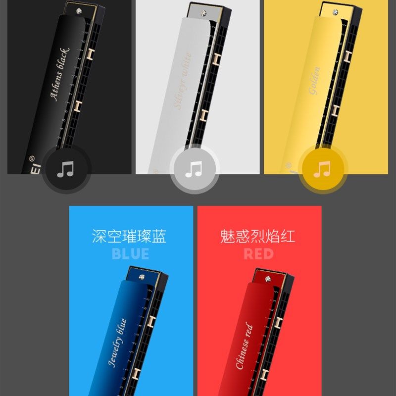 奇美口琴初学者带音标成人儿童24孔复音c调高级专业入门乐器学生