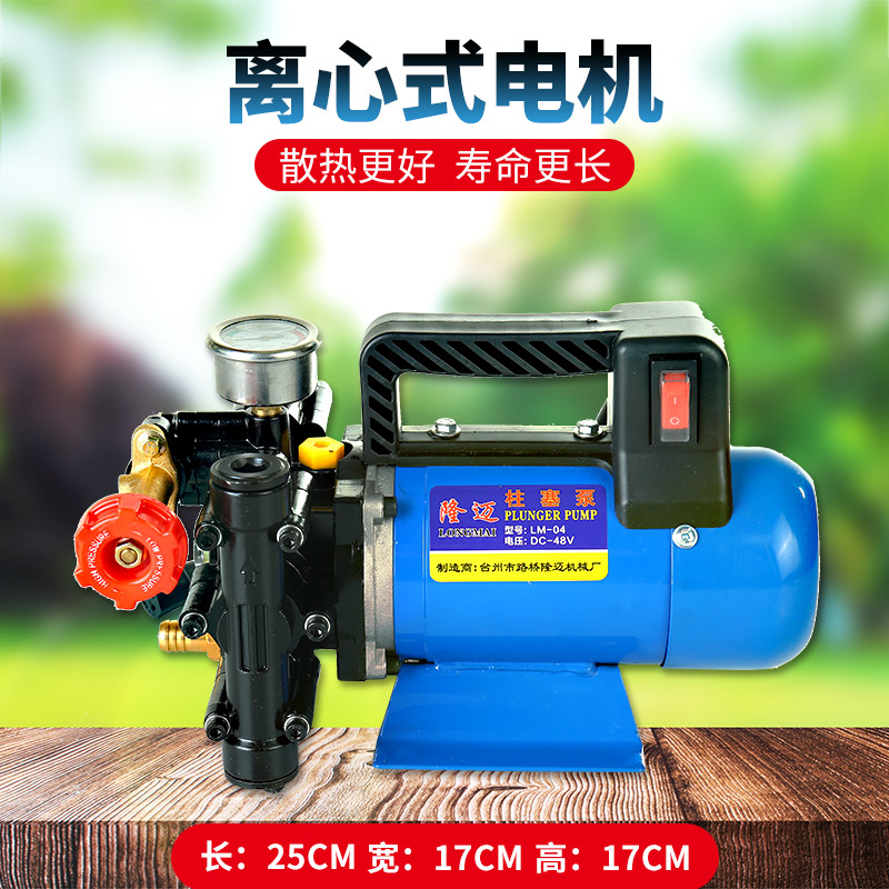 农用12V48V60V220V高压手提式电动打药机双缸柱塞泵消毒喷雾机