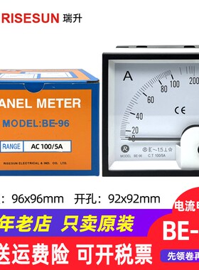BE-96电流表RISESUN瑞升96X96方形30/5A 400比5A安培表电压表500V