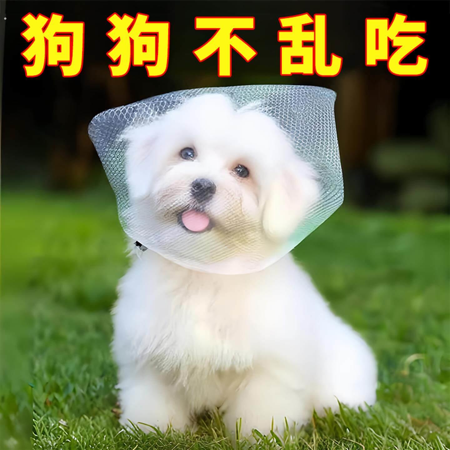 【狗狗防乱吃】防止狗乱吃东西防咬乱吃嘴罩防舔网套小型口罩神器