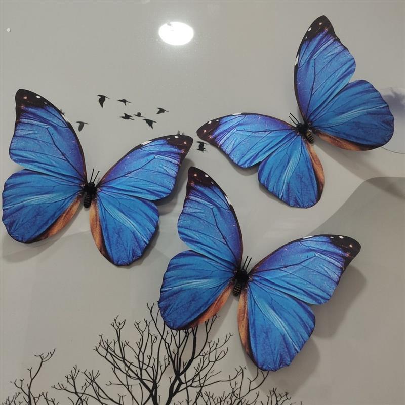 蓝闪蝶标本仿蝴蝶标本展翅西国蝶相框玻璃罩昆虫幼儿园教具教学收