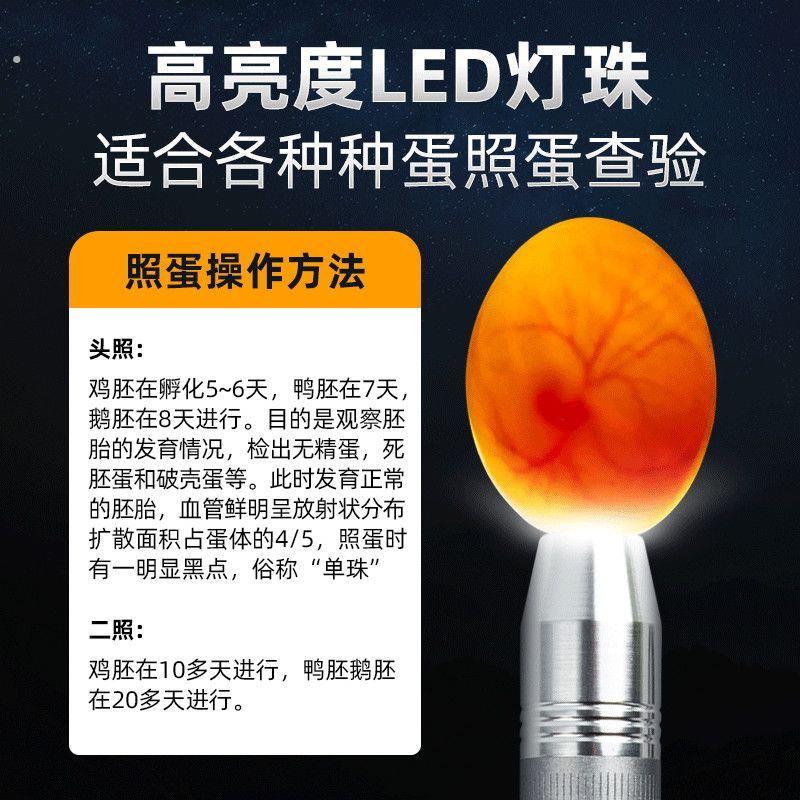 照蛋器孵化专用鸡蛋验蛋穿透小型验蛋机芦丁鸡照蛋器照蛋灯可充电