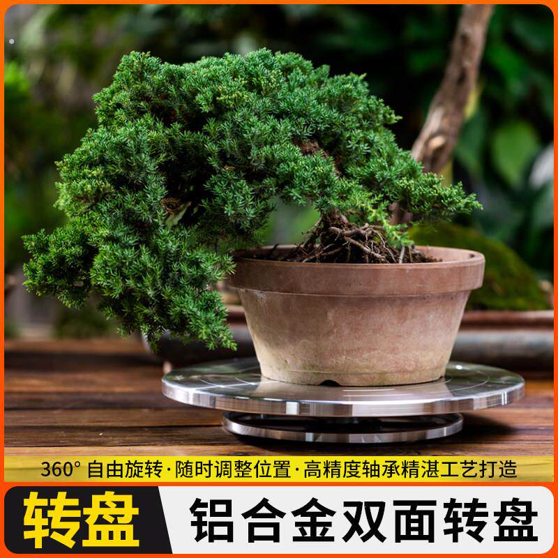盆栽修剪工具手动转盘盆景修桩造型转台专用旋转工作台拍摄小摆件