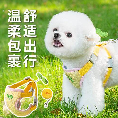 宠物狗狗牵引绳胸背款外出遛狗绳防止挣脱约克夏雪纳瑞小型幼犬用