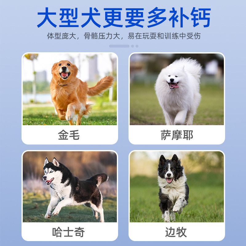 龙医生狗专用钙片宠物补钙幼犬金毛泰迪柯基壮骨健骨营养片160粒
