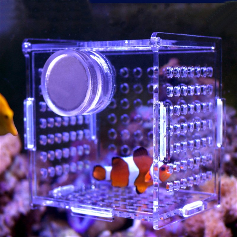 磁吸式海水缸专业亚克力鱼缸隔离盒孵化盒繁殖盒水族用品定制包邮图片