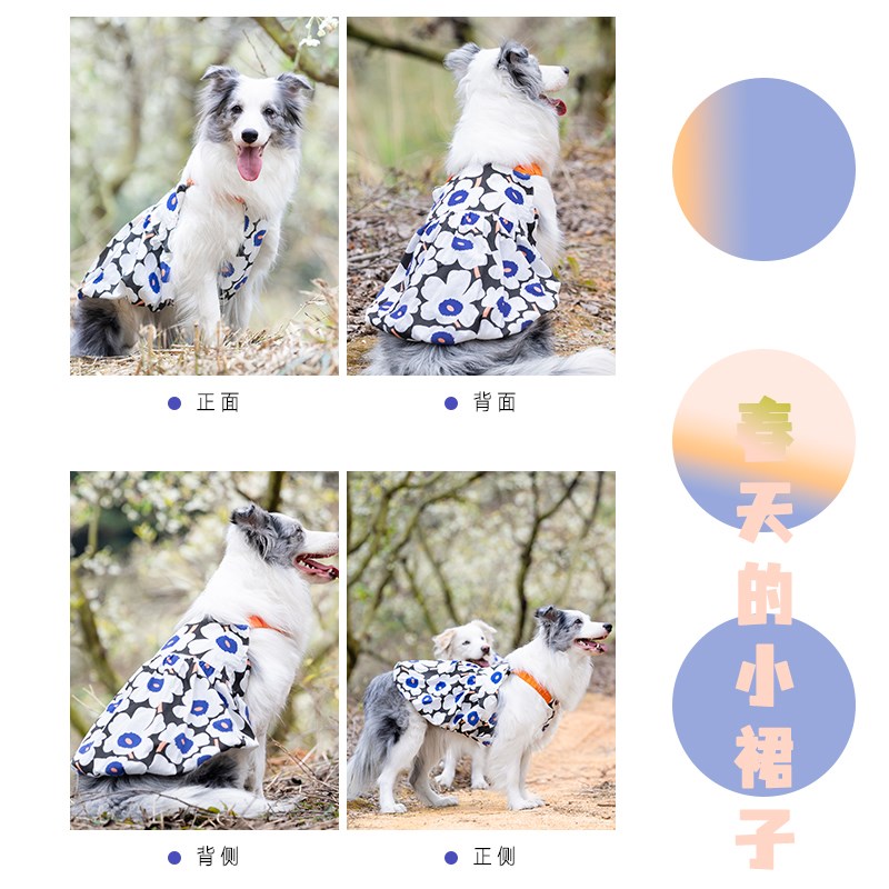 大型犬中型犬狗狗裙子边牧衣服萨摩耶拉布拉多公主裙柴犬夏天蓬蓬