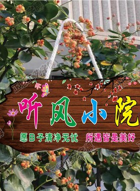 吾家小院挂牌门牌定制创意个性招牌复古风民宿客栈装饰挂件