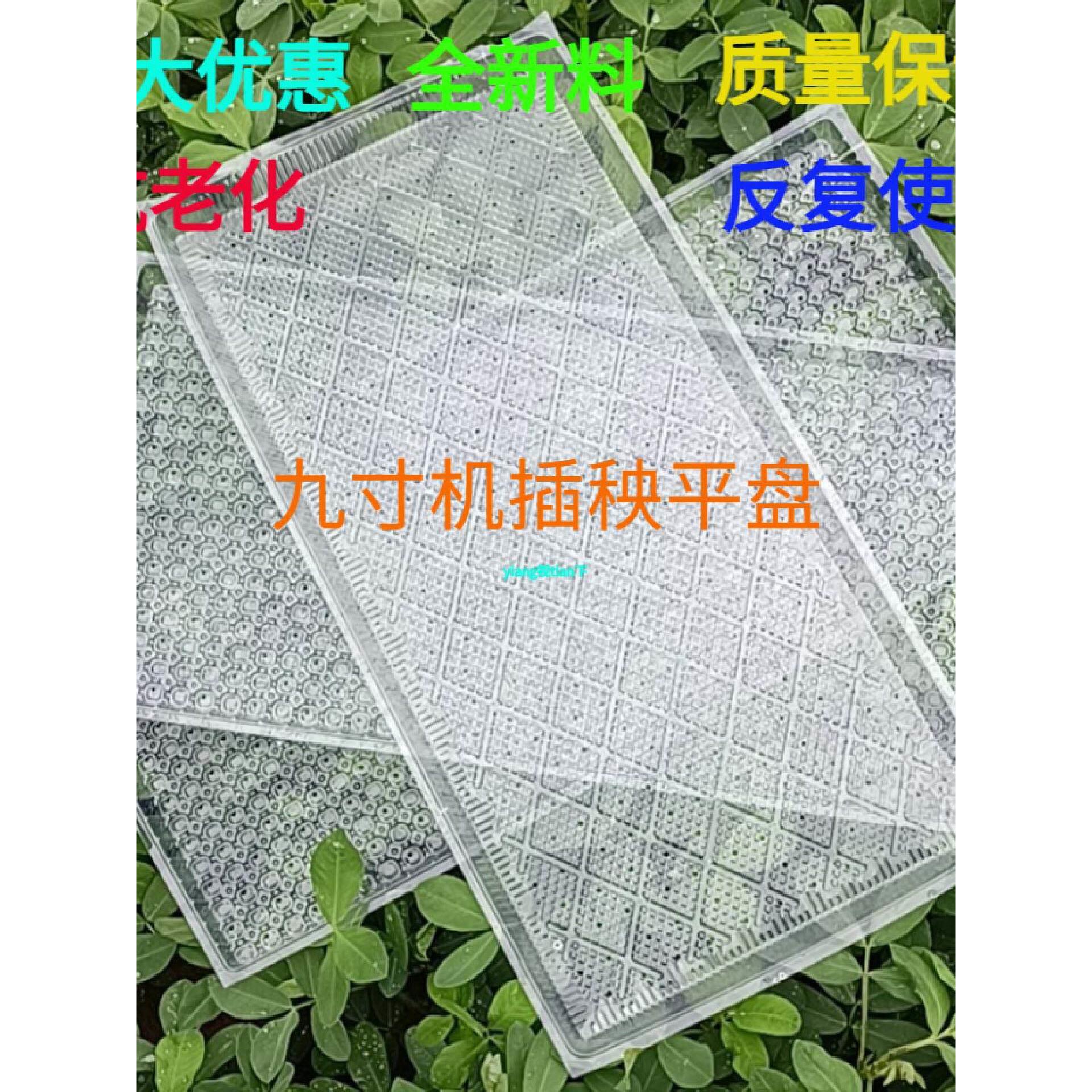 机插育秧盘菱形平盘软盘水稻9寸7寸育苗盘透明加厚