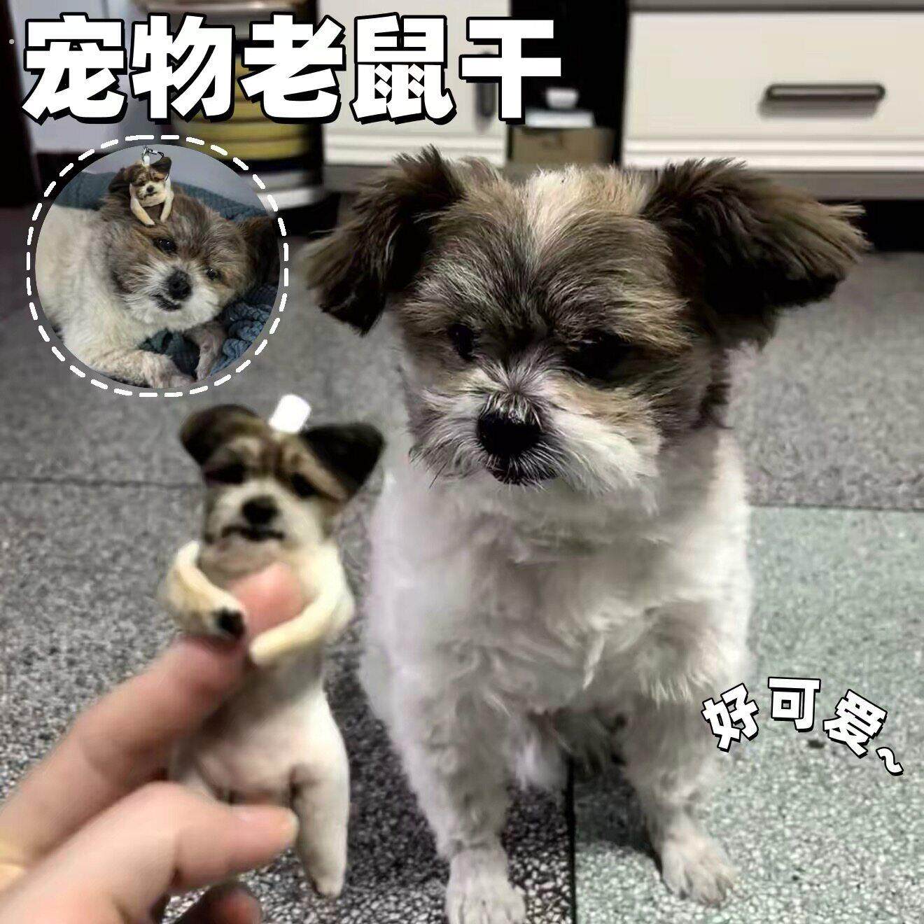 【宠物老鼠干定制】创意趣味狗狗乳鼠干挂件抽象含骨架可折叠玩偶