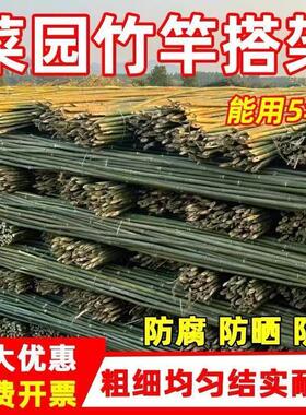 竹竿竹竿菜园搭架细竹竿子搭架杆豆角黄瓜架子种菜架子彩旗竿