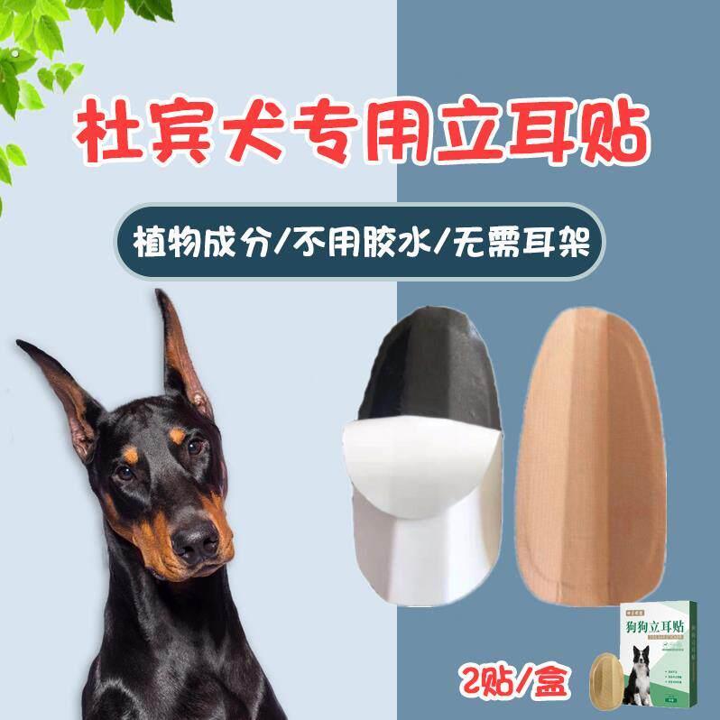 杜宾立耳器幼犬中型犬狗狗立耳朵神器德牧耳朵固定器卡斯罗立耳珠