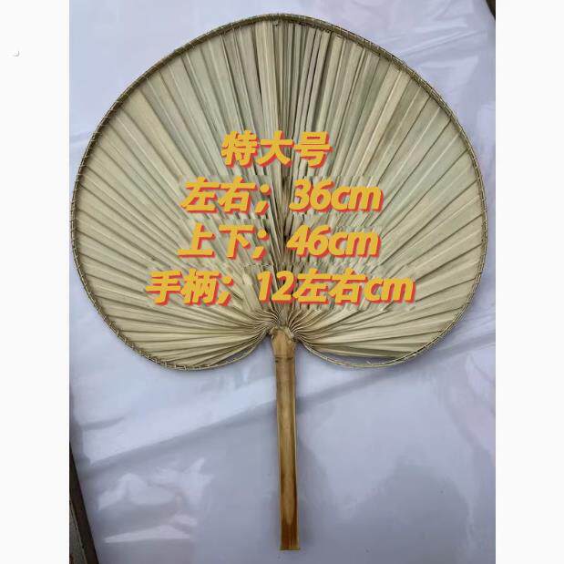 传统农家自产扇子装饰广告老式蒲扇方形葵叶手工特大号粽叶桃心