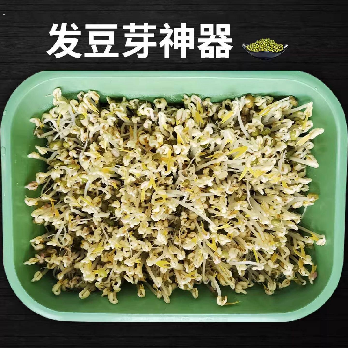 发豆芽神器育苗盘家用种植专用绿色塑料发芽盆大容量多孔种植盘