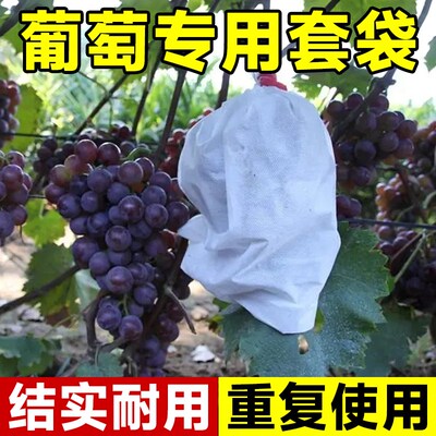 无纺布葡萄套袋水果新型防虫防水防雨网袋子桃子梨子防鸟果袋套袋