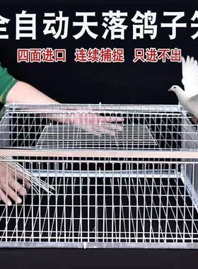 新款户外救助笼猫笼兔笼鸡笼鸽子笼镀鉻防锈有进无出大尺寸笼