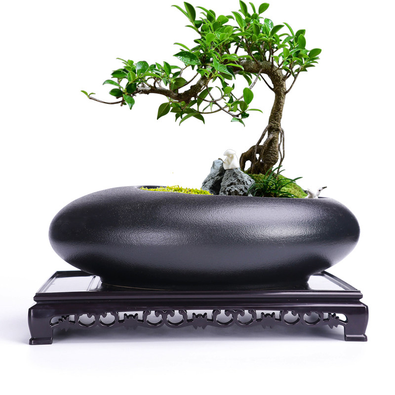 仿木质中式鱼缸奇石花盆托盘加厚底盘垫接水盘圆形底托底座长方形