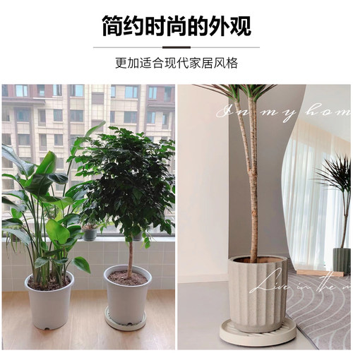 可移动花盆圆形托盘塑料底盘垫万向轮植物盆栽重物加厚底座带滑轮