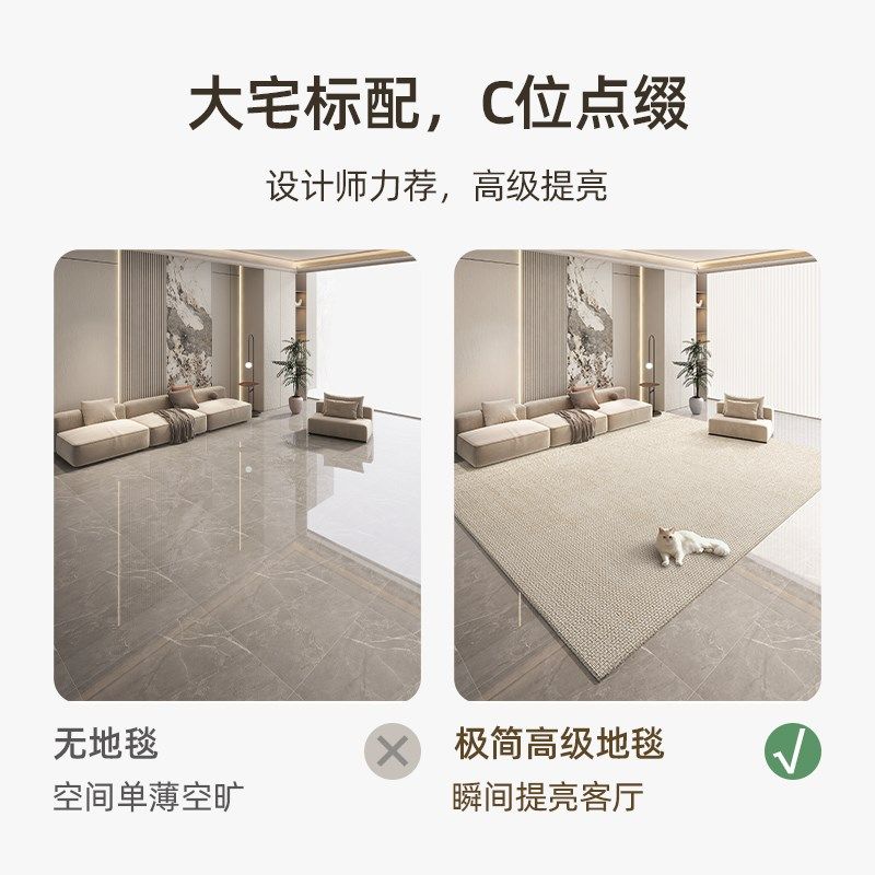 客厅高级感毛毯地垫除尘踩脚沙发地毯轻奢高级耐脏茶几毯卧室家用