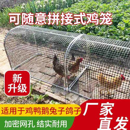 鸡专用笼子特大号芦丁鸡鸽兔防农村雨养殖新型黄鼠狼天窗粪清狗鸭