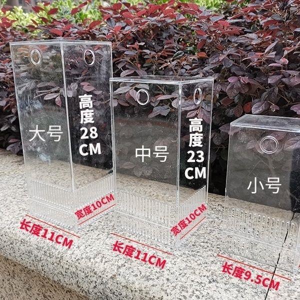 水泵隔离仓水陆缸雨林缸泵仓隔离水泵挡沙隔板水陆缸造景材料配件
