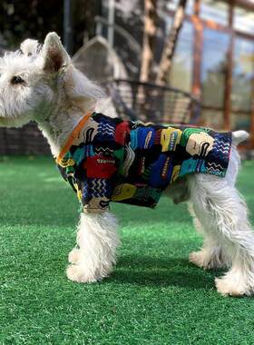 春秋季狗狗艺术涂鸦毛衣泰迪猫咪雪纳瑞法斗小型犬宠物春夏衣服