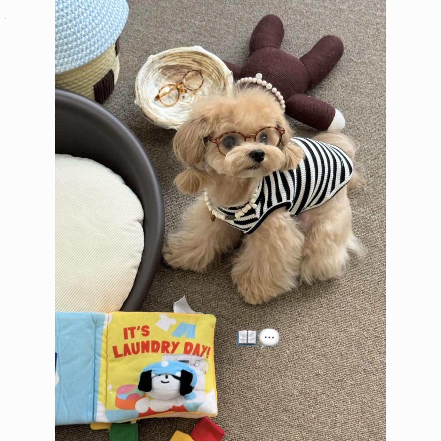 春夏季条纹背心小中型犬可爱宠物雪纳瑞马尔济斯泰迪衣服薄款透气