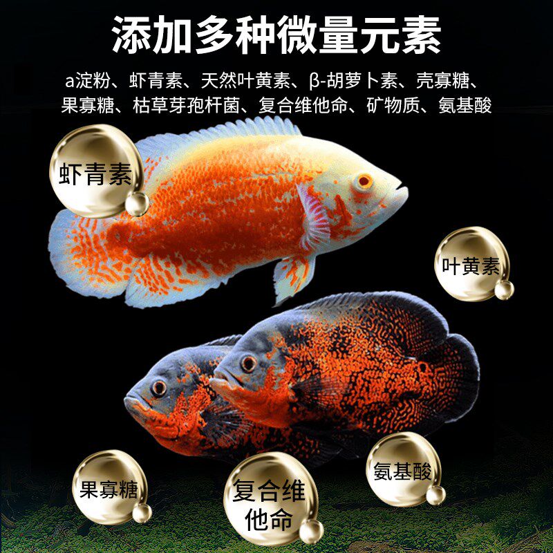 嗨皮鱼地图鱼专用饲料地图鱼专用鱼食鱼粮观赏鱼慈鲷增色通用颗粒