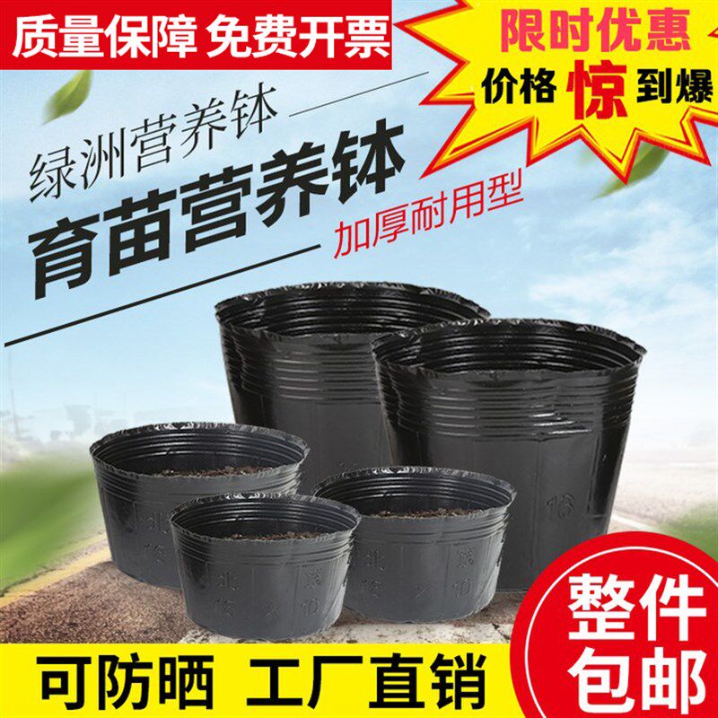 育苗杯营养杯营养钵加厚一次性塑料花盆种植袋营养袋育苗袋育苗盆