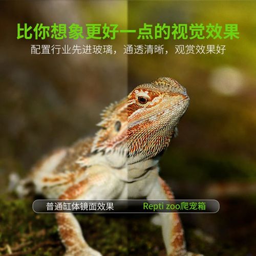 REPTIZOO爬宠箱 乌龟缸陆龟饲养箱 蜥蜴变色龙箱玻璃保温缸爬虫箱