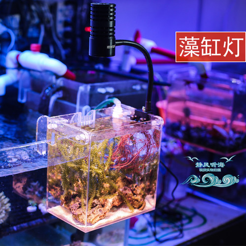 阳光几何海缸补光灯 全光谱LED珊瑚灯 Z-50W双光源藻灯 APP控制水